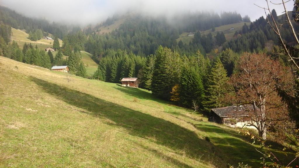 Chambre D'Hote La Petite Bergerie Abondance エクステリア 写真