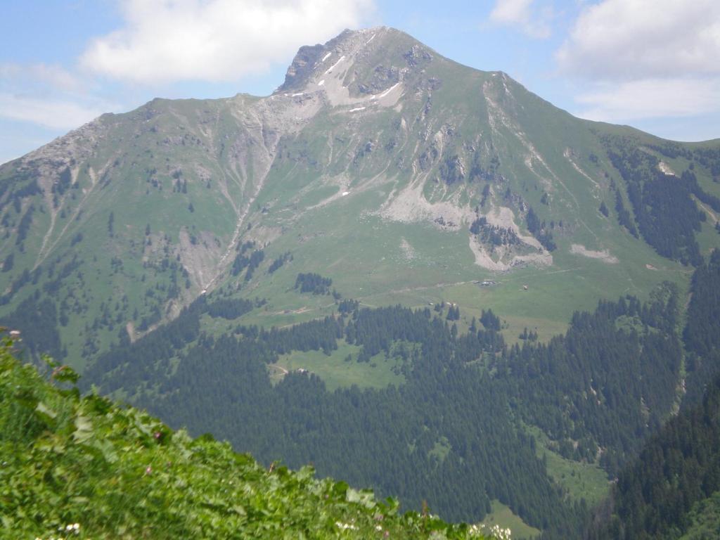 Chambre D'Hote La Petite Bergerie Abondance エクステリア 写真