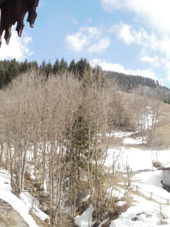 Chambre D'Hote La Petite Bergerie Abondance エクステリア 写真